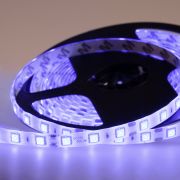 LED лента силикон,10 мм, IP65, SMD 5050, 60 LED/m, 12 V, цвет свечения синий «Lamper»