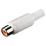 Гнездо RCA на кабель (белый)