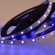 LED лента открытая, 8 мм, IP23, SMD 2835, 60 LED/m, 12 V, цвет свечения синий «Lamper»
