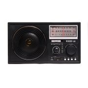 Радиоприёмник «Эфир» 13 (FM 64-108МГц R20*2шт., 220В, USB, SD, microSD, Aux)