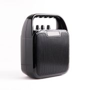 Караоке-система Atom KS-1100, 10Вт, АКБ 2400мА/ч, BT (до10м), USB, microSD, AUX, беспроводной микроф